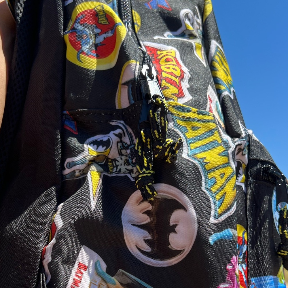 Batman and Robin Backpack - Picture 5 of 9